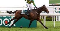 Grand National 2025 full list of 34 runners confirmed