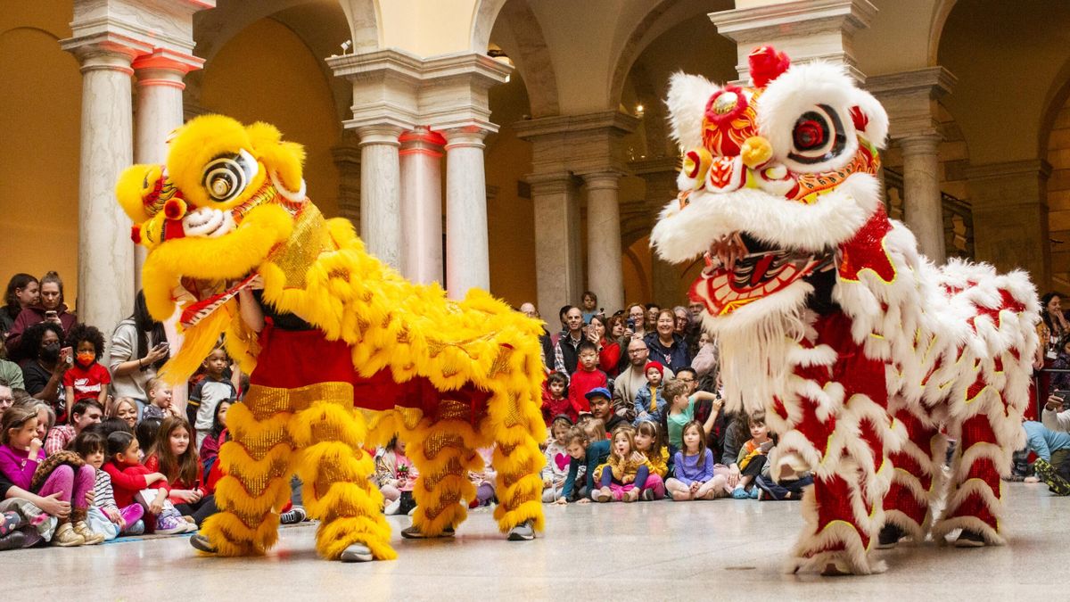 Lunar New Year 2025 Celebrations Ignite Global Festivities The