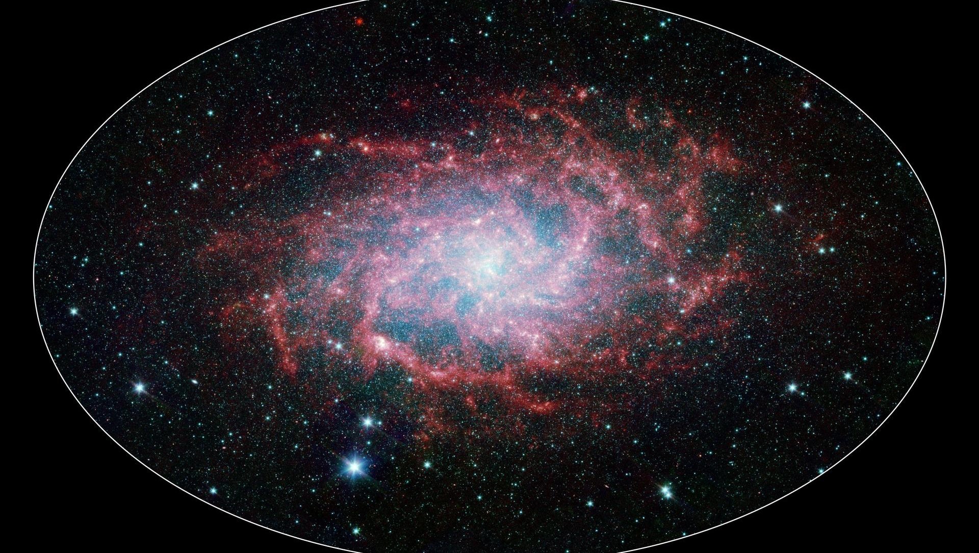 M33 X-7: Alışılmışın Dışında Bir Kara Delik Sistemi - Evrim Ağacı