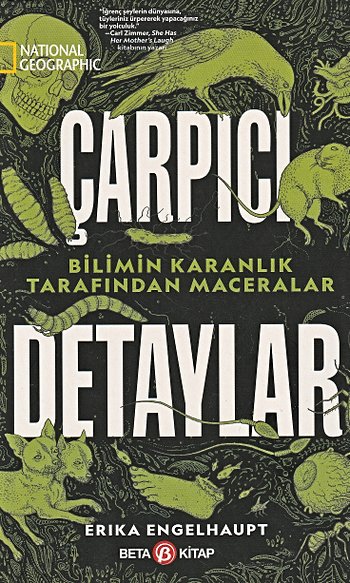 Çarpıcı Detaylar