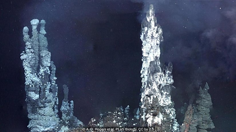 Doğu Boyunsak Yükselti'sindeki Bacalar