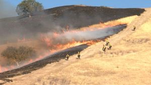 Planned Prescribed Burns Near Orick Aim To Reduce Fire Hazards