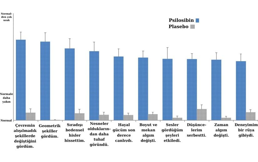 Görselde 30 katılımcıyla yapılan bir psilosibin deneyinin derecelendirme tablosu vardır. Deneyin katılımcılarından 15'ine psilosibin, diğer 15'ine ise plasebo etkili solüsyon verilmiştir. Deney sonuçlarına göre psilosibin, plasobe etkisine oranla bariz derecede yüksek puanlar almıştır. Yani psilosibinin etkileri psikolojik etkiler olmaktan uzaktır.