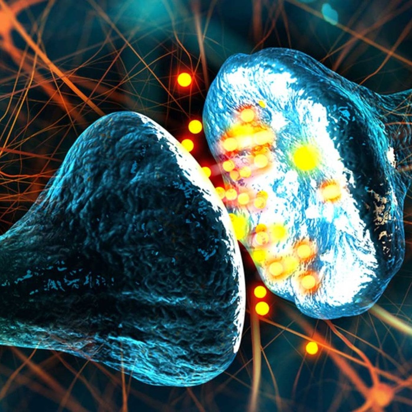 Evrim Ağacı ile Bilime Dair Her Şey!