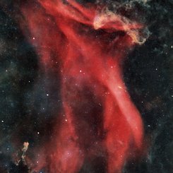 The Great Lacerta Nebula