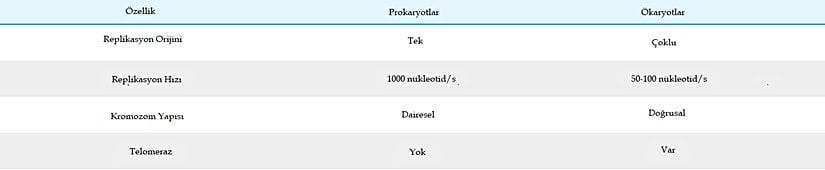 Prokaryotik ve ökaryotik replikasyonlar arasındaki farklar