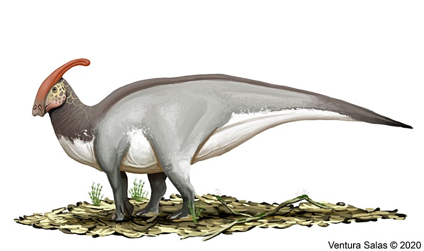 Çizen: VenturaSalas