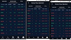 BORSA İSTANBUL GÜNLÜKLERİ 1