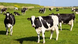 Denmark Becomes First Nation To Tax Livestock Emissions