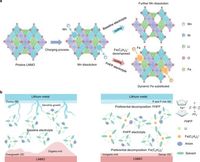 Dynamic doping and interphase stabilization for cobalt-free and high-voltage Lithium metal batteries - Nature Communications