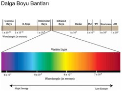 Eğer siyah tüm Dalgaboylarını emiyorsa, gözümüze hiçbir ışığın ulaşmaması ve bu durumda siyah olan şeyleri göremememiz gerekmez mi?