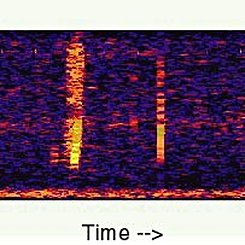 The Bloop: A Mysterious Sound from the Deep Ocean