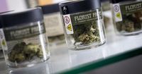 Marijuana shops sue New York after they were allowed to open too close to schools