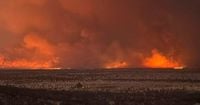 Wildfire in Namibia Rips Through Etosha National Park