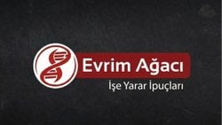 Sadece Bir Tık Etkisi: Dijital Ayak İzleri