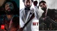 Nani responds on 'HIT 3' comparisons with 'Animal', 'Kill' and 'Marco' | - The Times of India