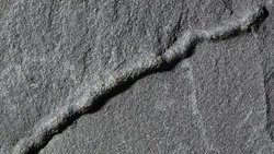 "Hareketin" Kökenine Dair En Eski Bulgu!