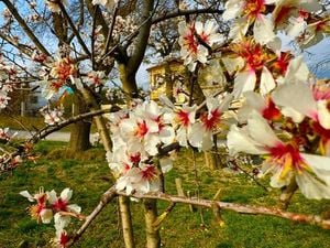 Rostov Weather Set To Welcome Spring Warmth And Rain