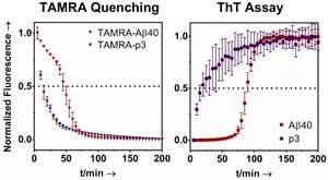 New Insights Into P3 Peptides' Role In Alzheimer's Disease