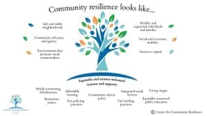 Unlocking Community Resilience: The Role Of Social Capital During Emergencies