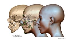 Adli Antropoloji, Adli Yüz Kimliklendirme, Paleo Rekonstrüksiyon ve Biyolojik Heykeltıraşlık