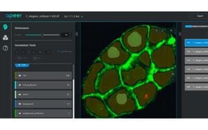 WormYOLO Revolutionizes C. Elegans Behavior Analysis