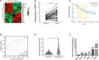 Glycolysis-related lncRNA FTX upregulates YAP1 to facilitate colorectal cancer progression via sponging miR-215-3p - Scientific Reports