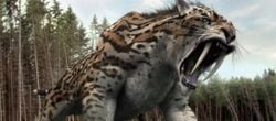 Smilodon: Kılıç Dişli Kedi