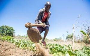 Farmers Face Climate Change Challenges Worldwide