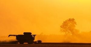 Trump Set To Unveil Billion Dollar Aid For Farmers