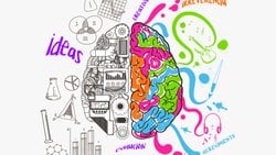 Sol Yarım Kürede Bağlantı Artışına Bağlı Sağ Beyin Asimetrisi