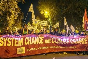 Brazil Faces Climate Crossroads After COP30 Oil Move