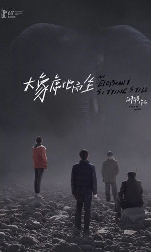 An Elephant Sitting Still