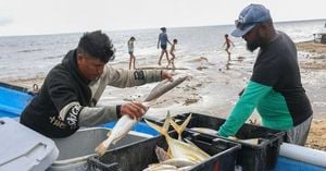 U.S. Drug Boat Strikes In Caribbean Spark Global Outcry