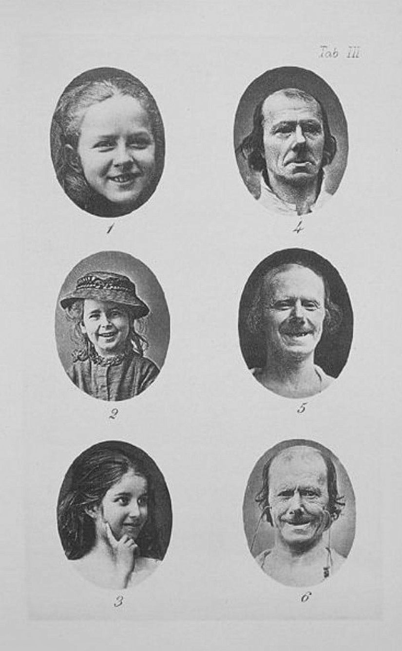 Neşe, yüksek ruh halleri, aşk, nazik hisler ve duygusal bağlılık.