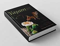 Yaşam Bilimi: Biyoloji (Sadava)