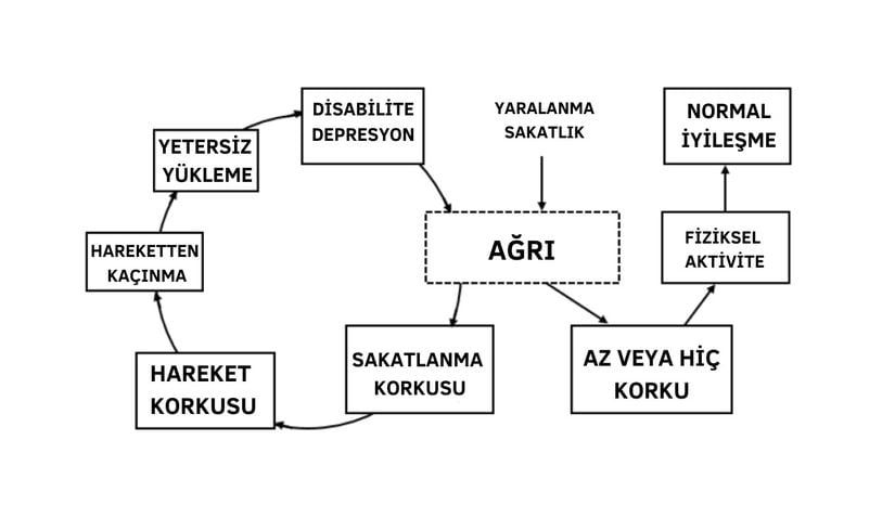 Kronik ağrı ve korku ilişkisi