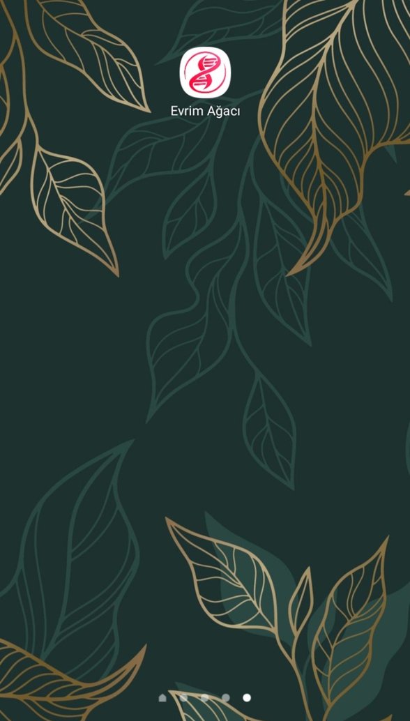 Ana ekranda uygulamanın simgesi şu anda böyle gözüküyor.