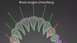 Günlük hayatın parçası “ENDODONTİ”