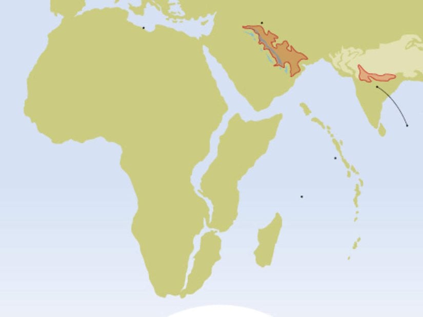 10 milyon yıl kadar sonra Rift Vadisi'nin yerinde yeni bir okyanus olacaktır.