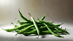 İnsan Spermi ve Taze Fasulye (Phaseolus Vulgaris) Koku Benzerliğinin Moleküler Temelleri