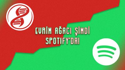 Evrim Ağacı Spotify ve iTunes'da: Podcastlerimizi Kaçırmayın!