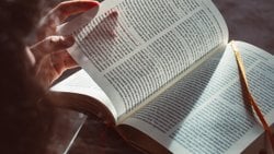 İnsanlık Tarihine Yönelik Anlayışımızı Değiştiren 5 Kitap!