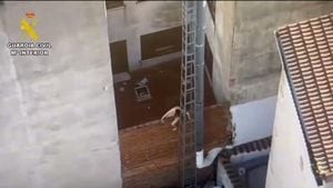 Dramatic Arrest Of Gender Violence Suspect In Ávila