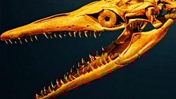 TÜRKİYE'DE NEDEN HİÇ DİNOZOR FOSİLİ BULUNAMADI?