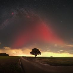  The SAR and the Milky Way 