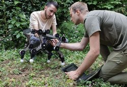 Dört Bacaklı Robot Paws, Hayvanların Doğal Hareketlerini Minimum Enerjiyle Taklit Ediyor!