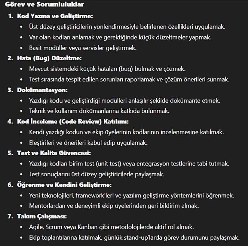 ChatGPT'ye "Junipr Yazılımcının Görev Tanımı" soruldu.