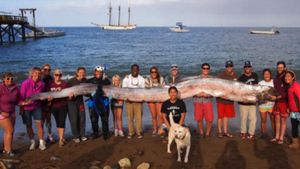 Rare Doomsday Fish Sightings Captivate Southern California