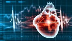 Kalp Krizi Sırasında Kalpte Neler Oluyor?